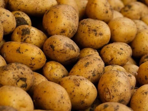 Potatoes