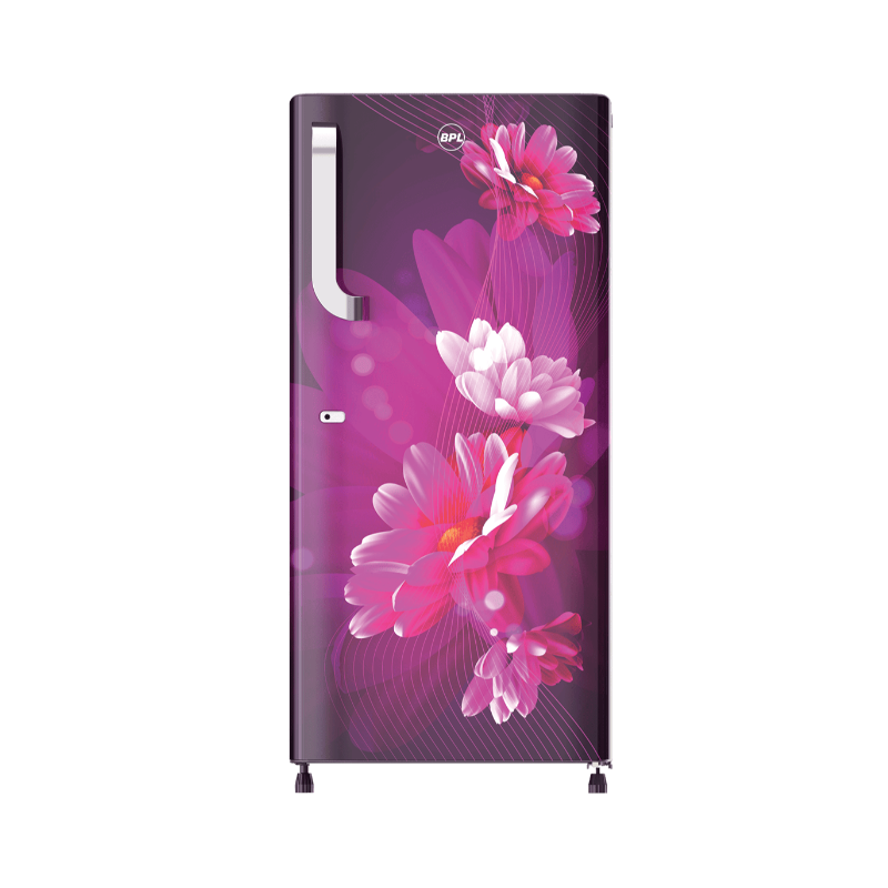 BPL REF DC 221L 2S BRD-F240EBEIWS FLORA