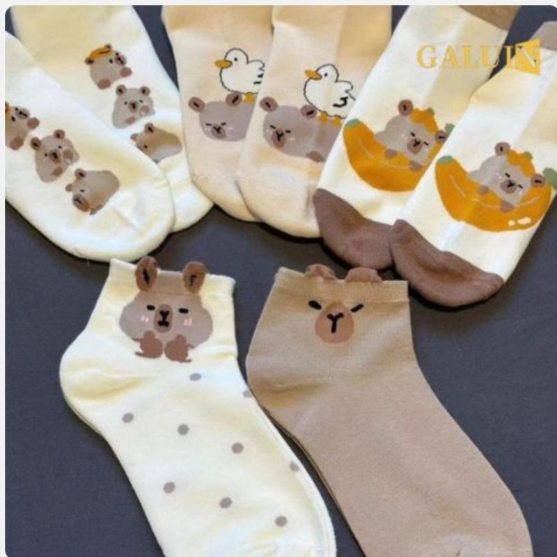 GALUIN 10 pièces de chaussettes mignonnes capybara, chaussettes courtes pour femmes, chaussettes en coton tendance pour le printemps et l'été, fines chaussettes basses avec motif cartoon