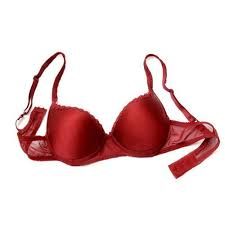 Ladies Bra
