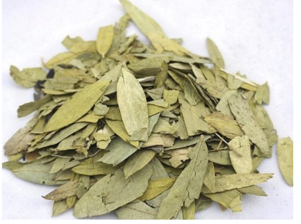 Daun Teh Jati Cina Kering
