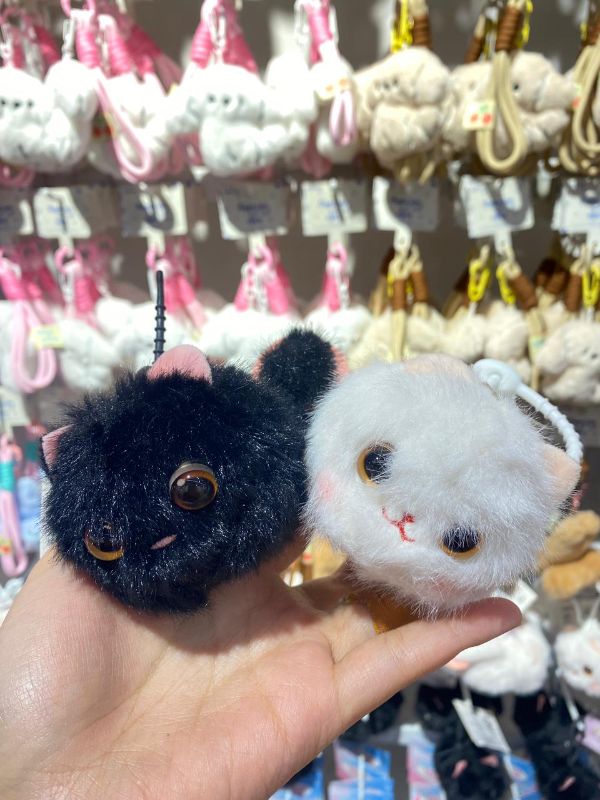 Q359 Lucky Baby Kucing Berguling (Warna Campuran Hitam Putih)