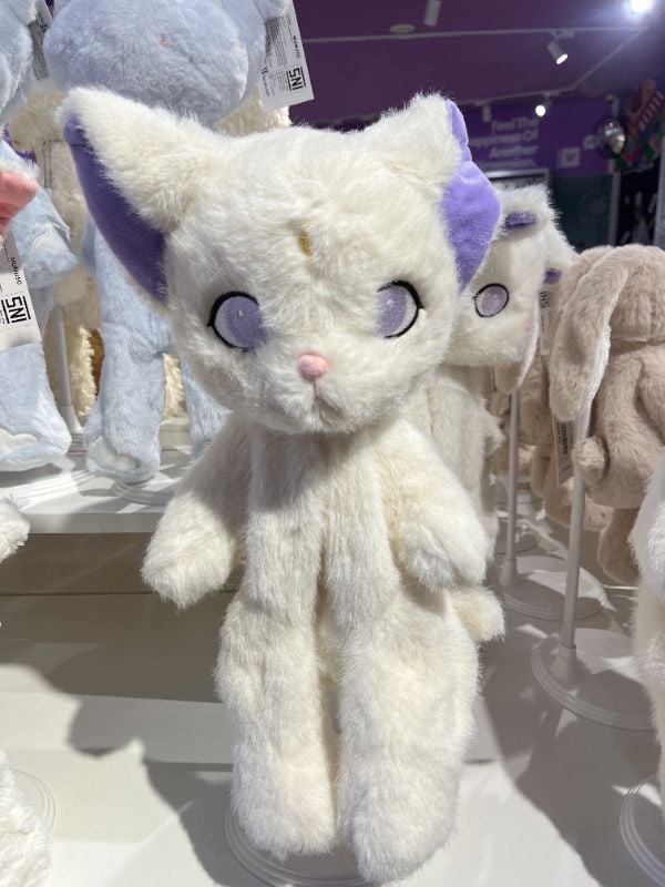 Case Kucing Penyihir