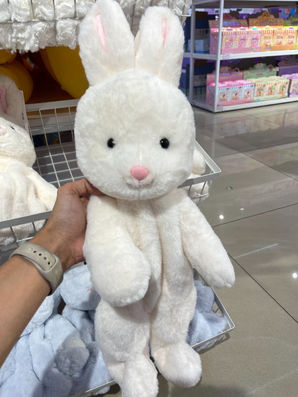 Kelinci Telinga Tegak Bulu Putih