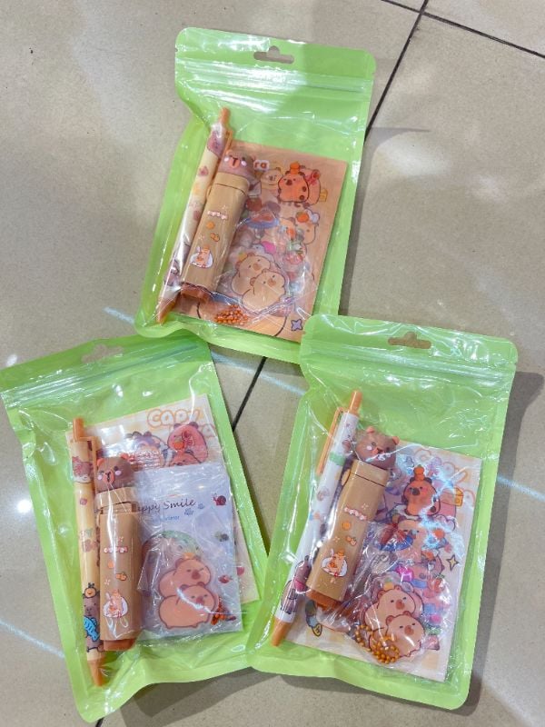 Tas Hadiah Imut Babi Air Seri A