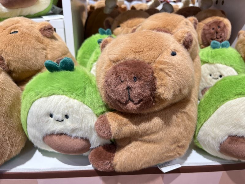 Mainan Plush (Kapibara Memeluk Alpukat)