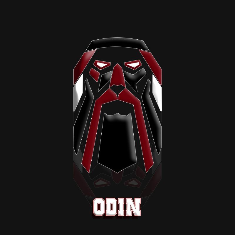 Vektor Odin
