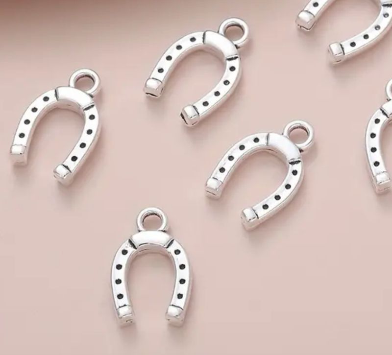 horse shoe silver