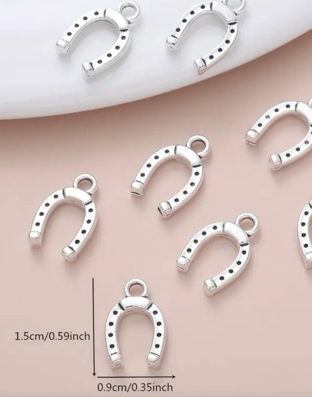 horse shoe silver