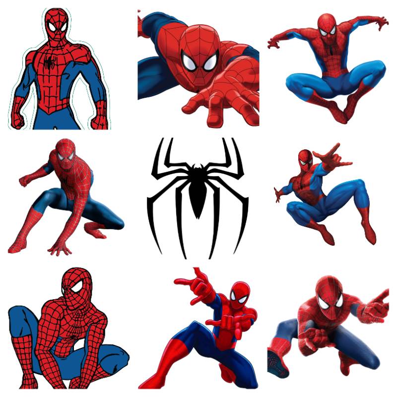 SPIDERMAN Design 1000