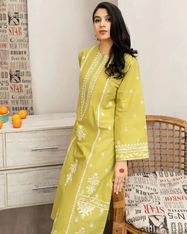 2pc women  unstitcheds Embroidered suits