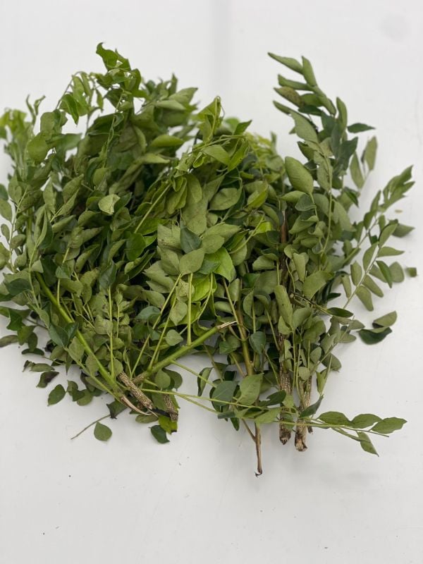 Curry Leaves