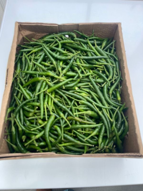 Green Chilli