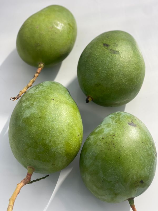 Green Mango