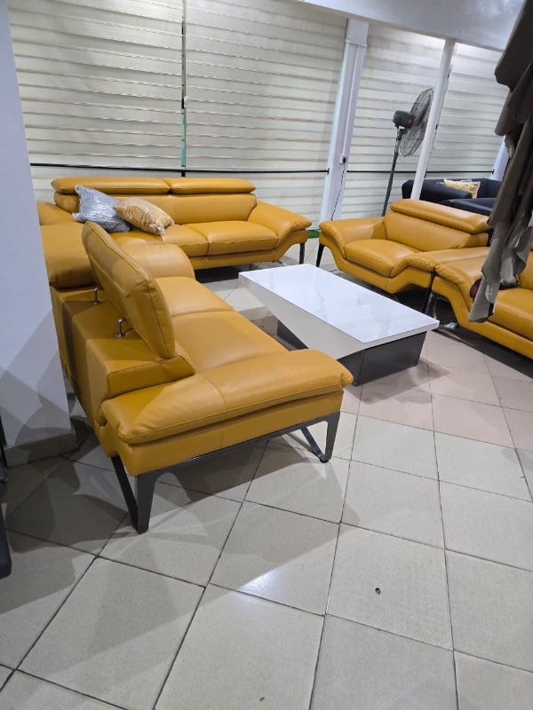 Pure Animal Skin Italian Leather 7 seater Contemporary Sofa set
1+1+2+3