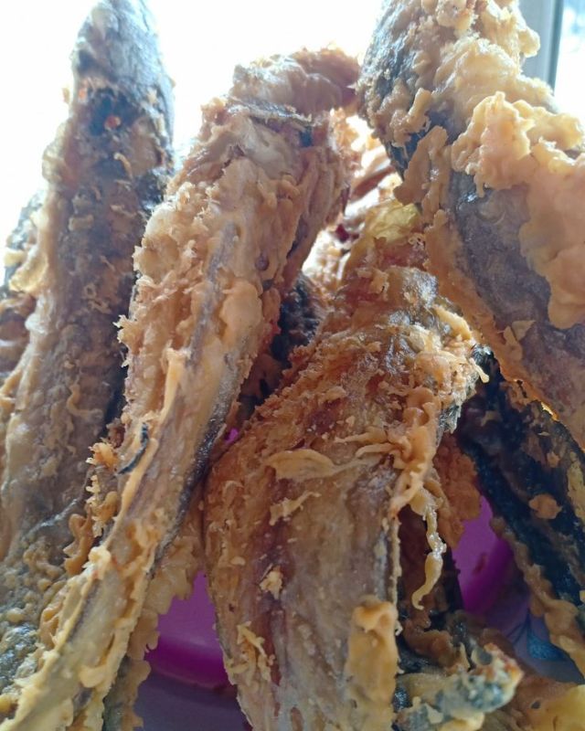 Lele Goreng