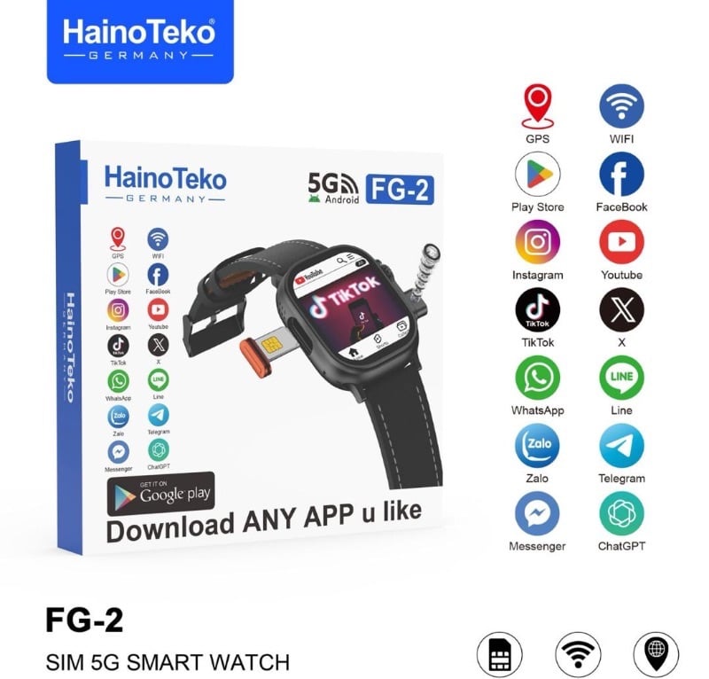 Haino Teko FG-3 original.