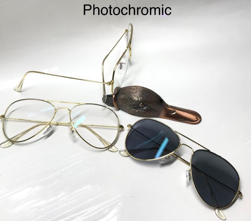transmission sunglasses