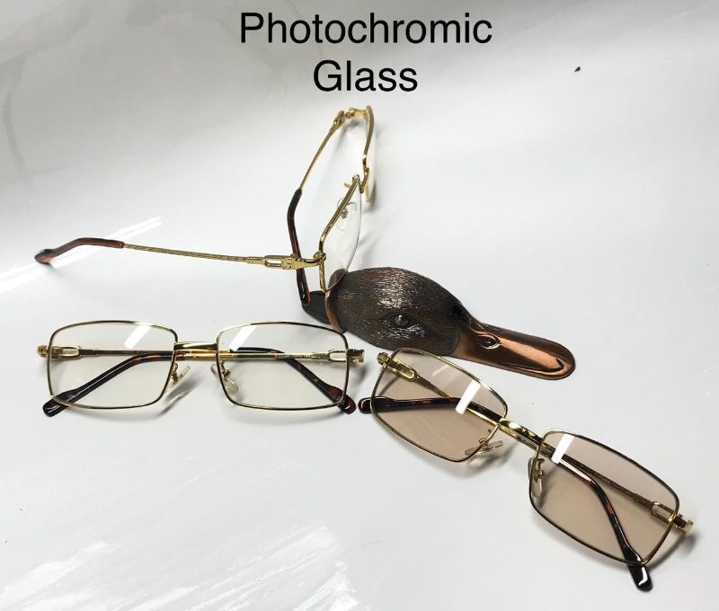 transmission sunglasses