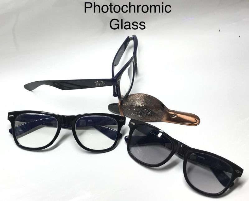 transmission sunglasses