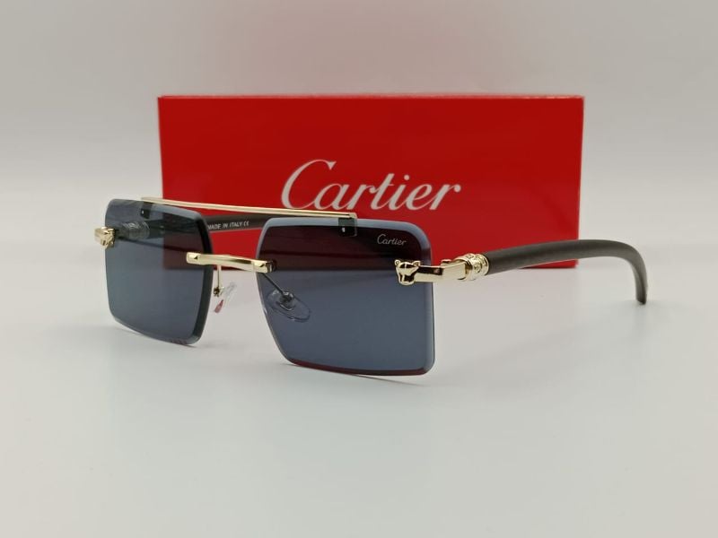 fancy cartier