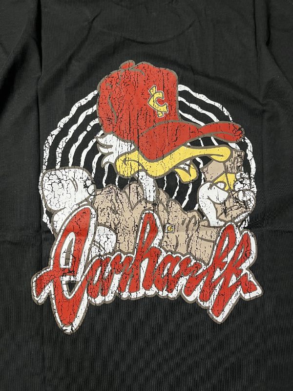 Kaos Carhartt B-CH-5