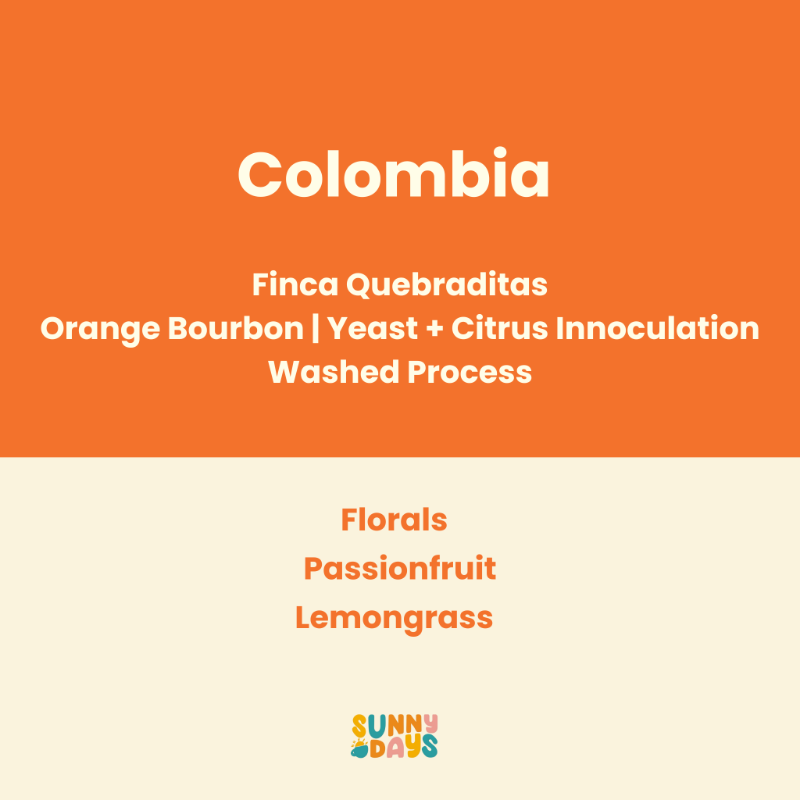 Colombia - Quebraditas