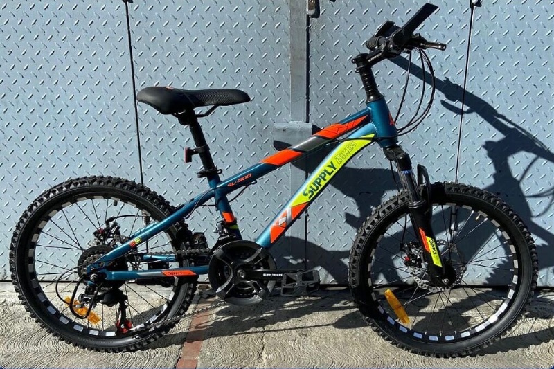 20 MONTAÑERA CON CAMBIOS