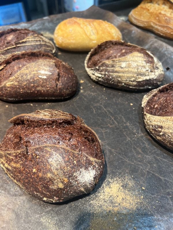 可可細酸刀 Sourdough.Cocoa,Small