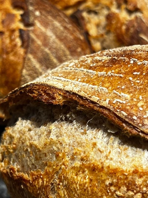 全麥大酸刀 Sourdough.Wholegrain.Large