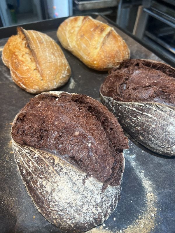 可可細酸刀 Sourdough.Cocoa,Small