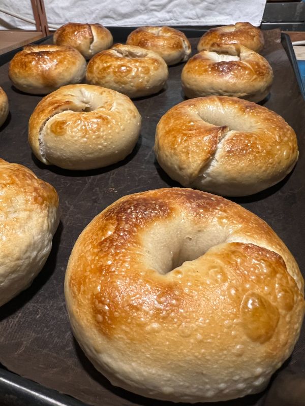 原味悲哥 Plain Bagel