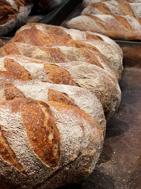 原白大酸刀 SourDough.Plain.Large