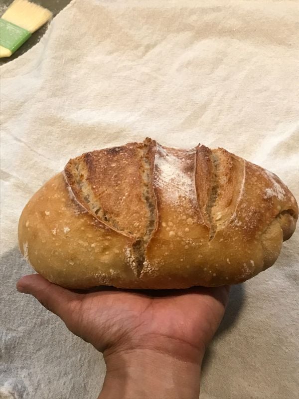 原白細酸刀 SourDough.Plain.Small