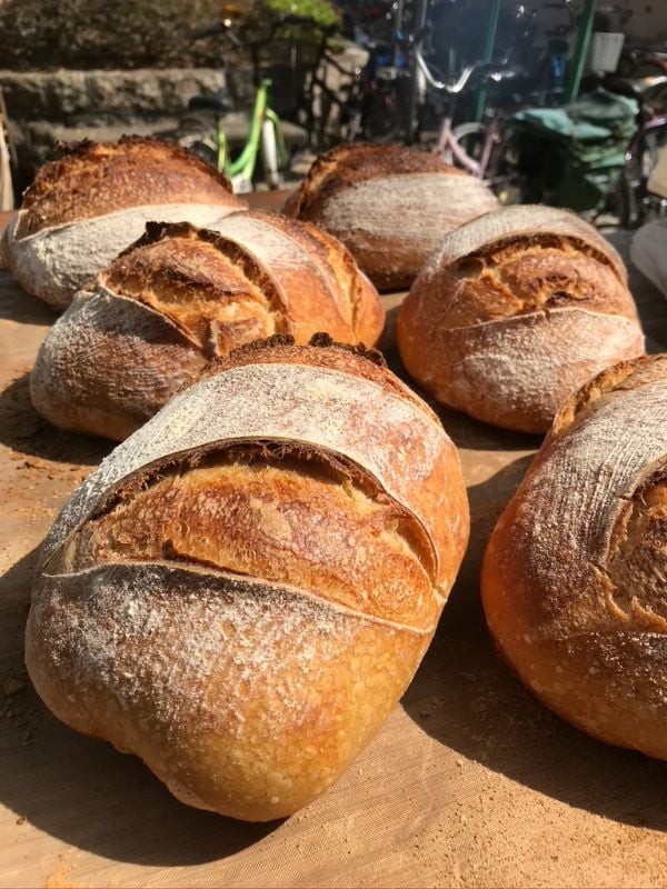 原白細酸刀 SourDough.Plain.Small