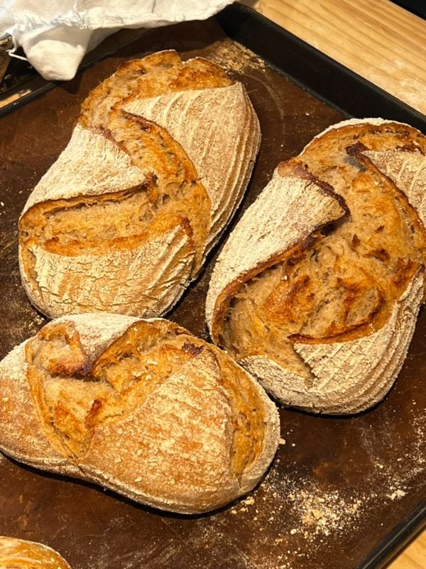 黑麥大酸刀 Sourdough.Rye.Large