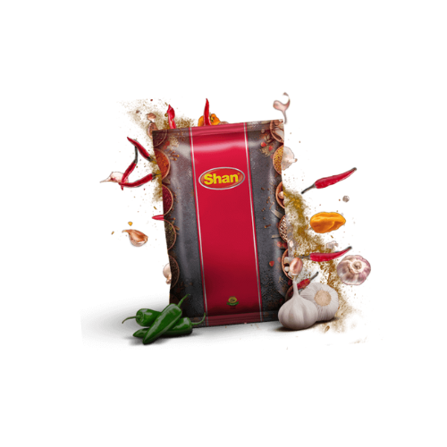 Shan Foods - Shan Specialists - MSG Replacer - 400 Gram - Institutional Packs - 24 Packs