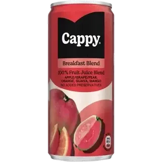 Cappy 100% 300ml