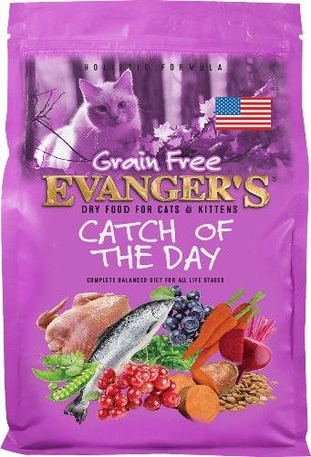 EVG CAT CATCH OF THE DAY CAT & KITTEN (PINK)