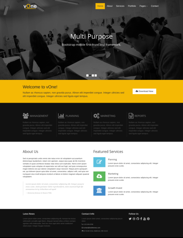 Vone Bussines Template
