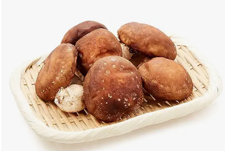 Shiitake