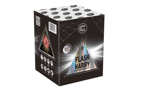 FLASH HARRY