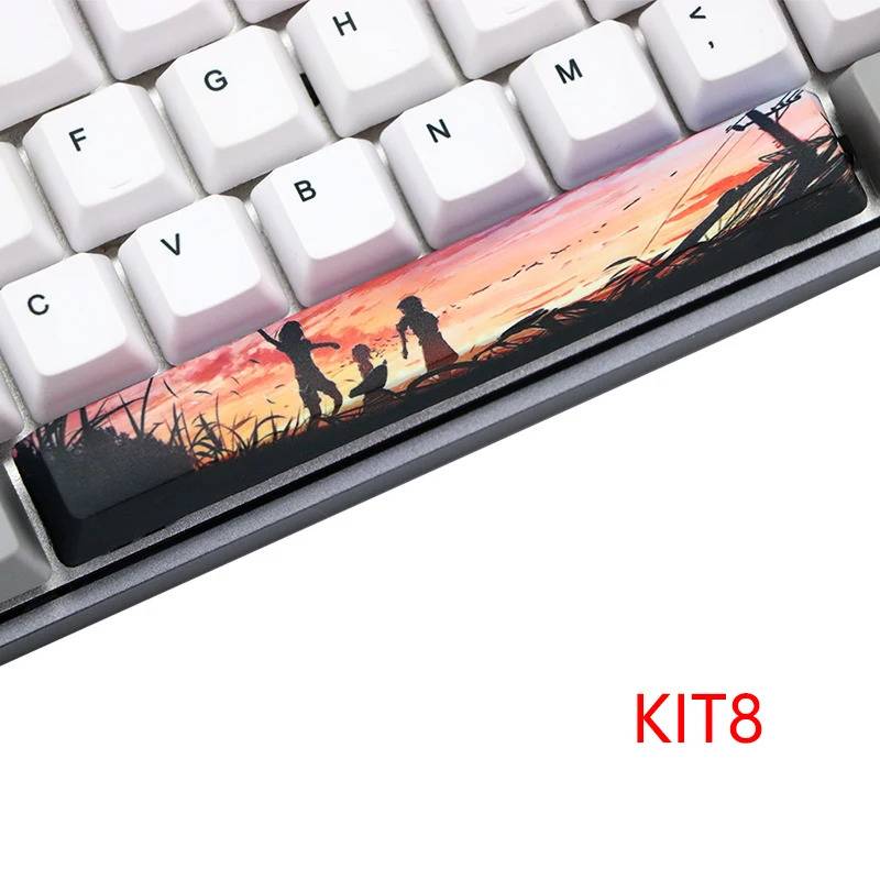 Single Spacebar- Sunset