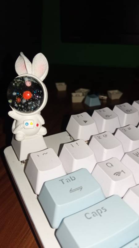 Astronaut Rabbit Keycap