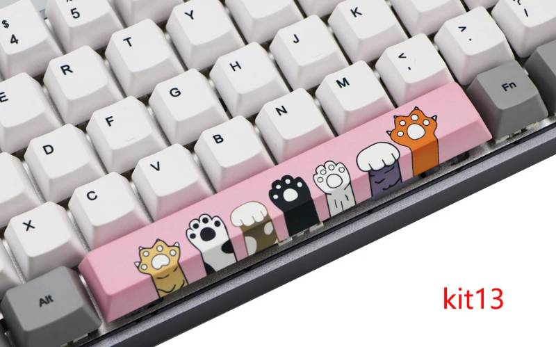 Single Spacebar- Kitty Paws