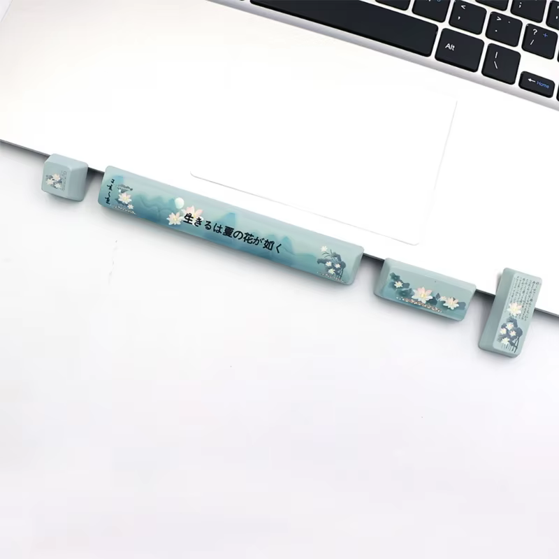 PBT 4Key Set with Spacebar- Cherry Blossom