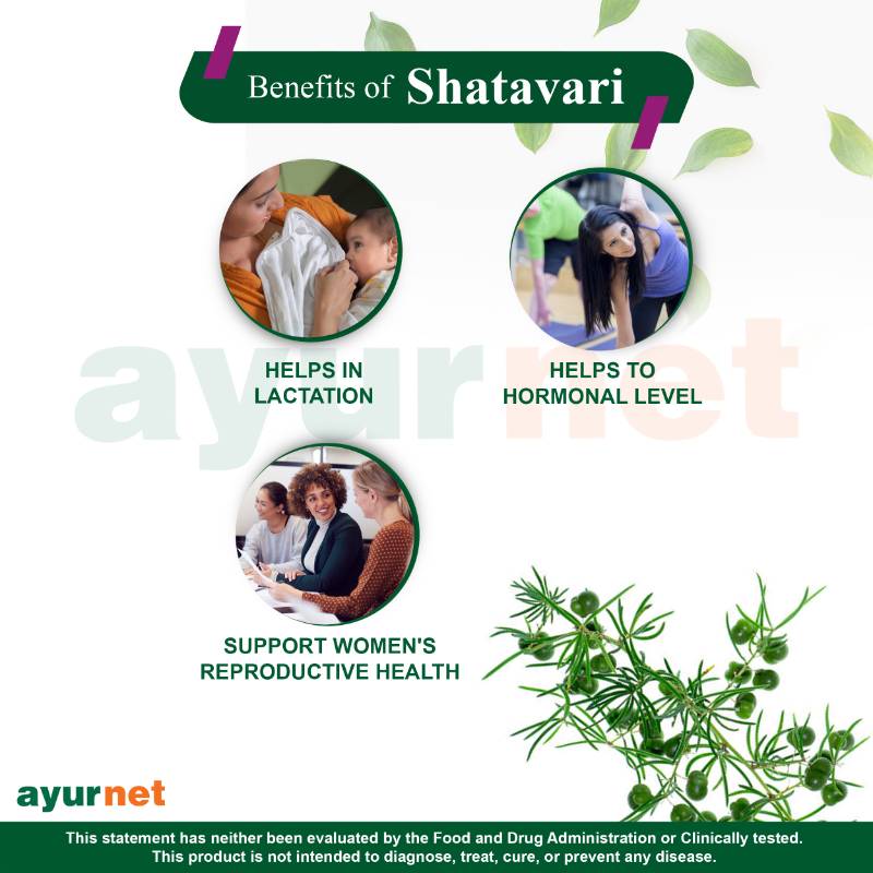 SHATAVARI CAPSULE