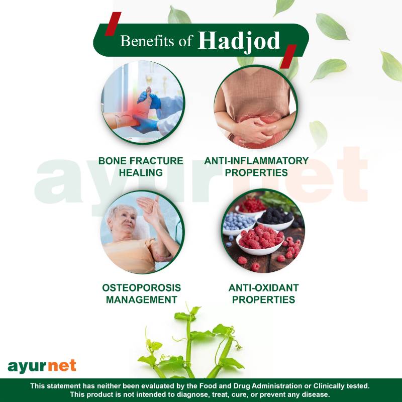 HADJOD CAPSULE