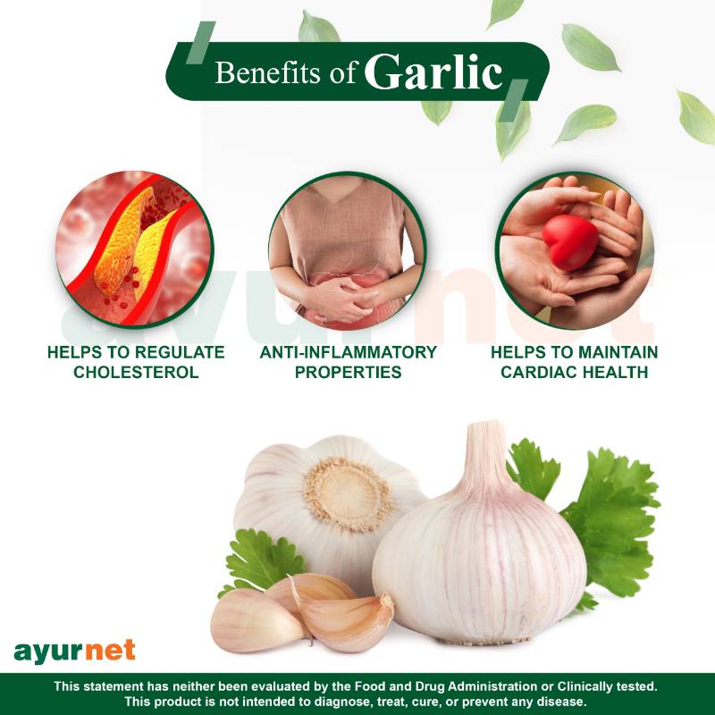 GARLIC CAPSULE