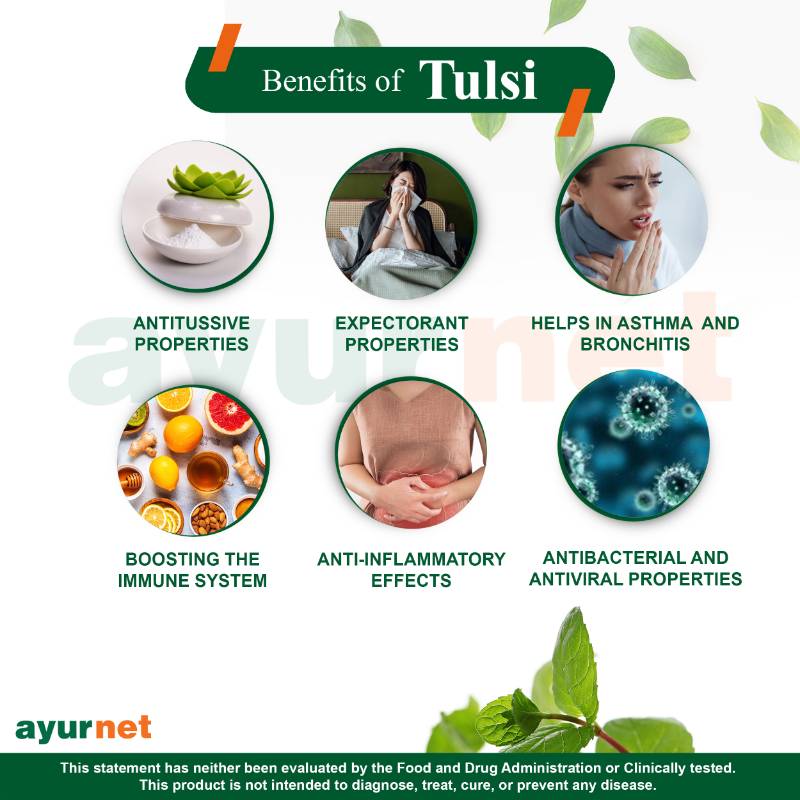 TULSI CAPSULE
